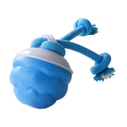 Balle Intelligente Rechargeable pour Chien — Mouvement Automatique