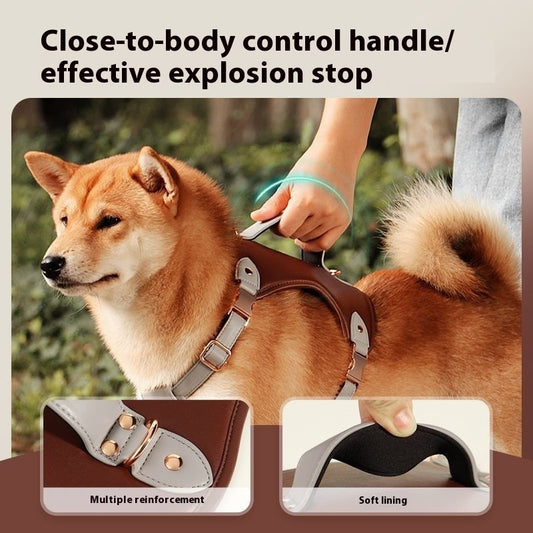 Harnais Vest Poitrine pour Chien de Taille Moyenne à Grande — M, L & XL