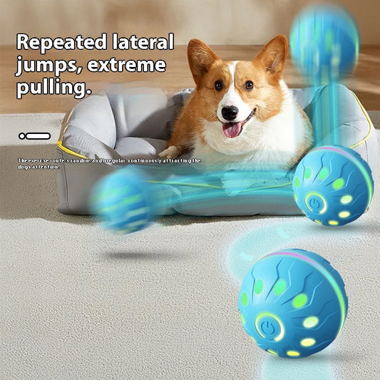 Balle Sautante Automatique pour Chien — Rechargeable USB