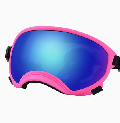 Goggles de ski pour chiens – Anti-buée, anti-vent & polarisés