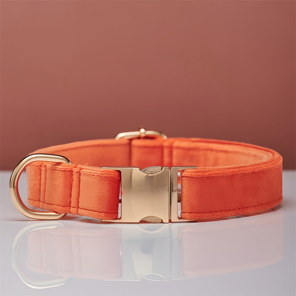 Ensemble Collier & Laisse en Velours avec Nœud Papillon pour Chien