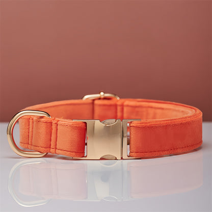 Ensemble Collier & Laisse en Velours avec Nœud Papillon pour Chien
