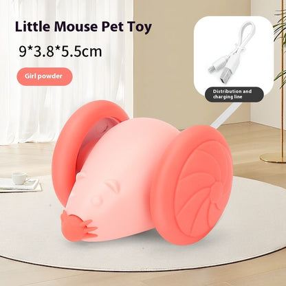 Jouet Souris Lumineux Rechargeable USB pour Chat – Électrique & Interactif