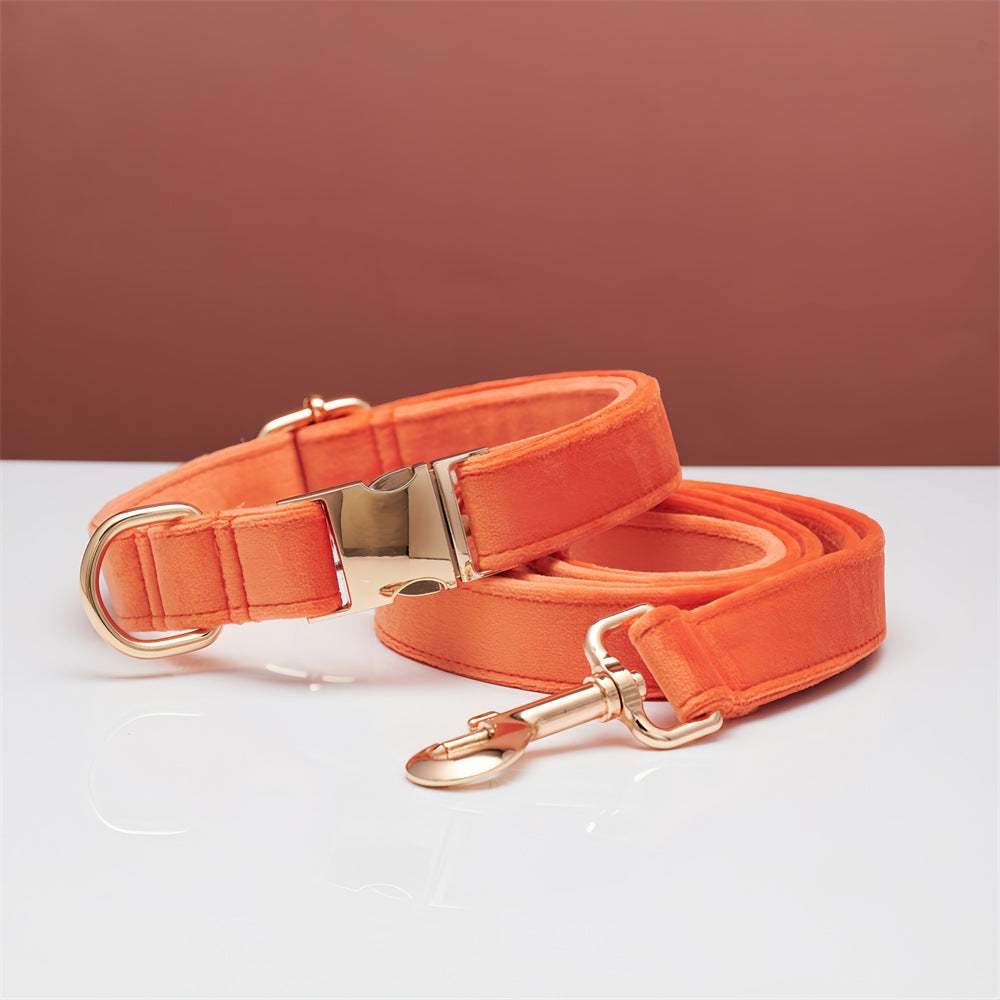 Ensemble Collier & Laisse en Velours avec Nœud Papillon pour Chien