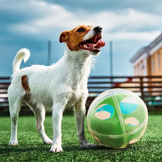 Dog Anti-Stress Toy Set – Labyrinth Ball, Dispenser & Squeaker