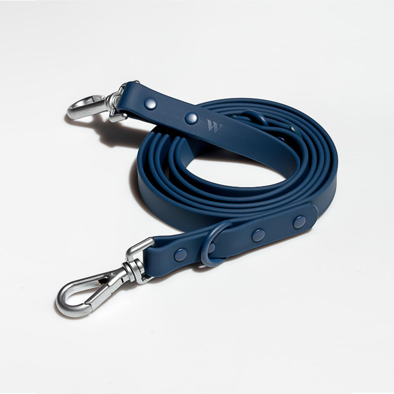 Laisse Imperméable Macaron pour Chien — Nylon Enduit Élastique