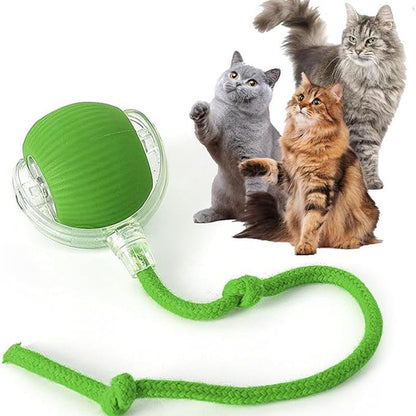 Balle Interactive Intelligente pour Chat & Chien — 3 Modes, Capteur & Recharge Rapide
