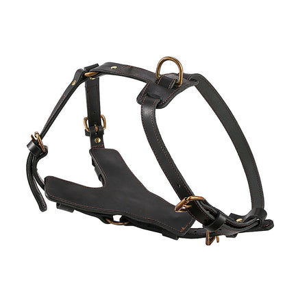Harnais en Cuir Véritable avec Laisse pour Chien — Protection 360°