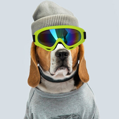 Lunettes de soleil pour chiens – UV400, plein cadre, 11 couleurs