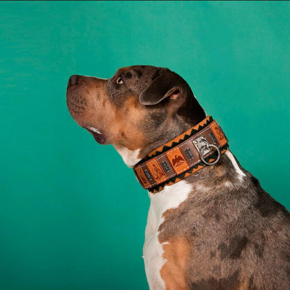 Collier "SPQR" — Cuir Inspiré de Rome pour Chien