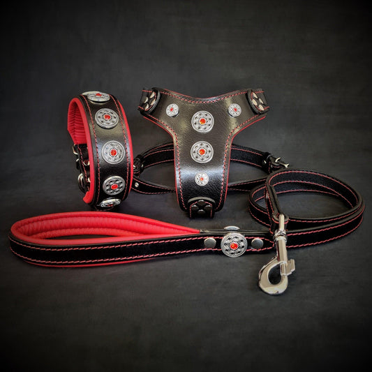 Set "Bijou" Rouge — Collier, Harnais & Laisse en Cuir Assorti
