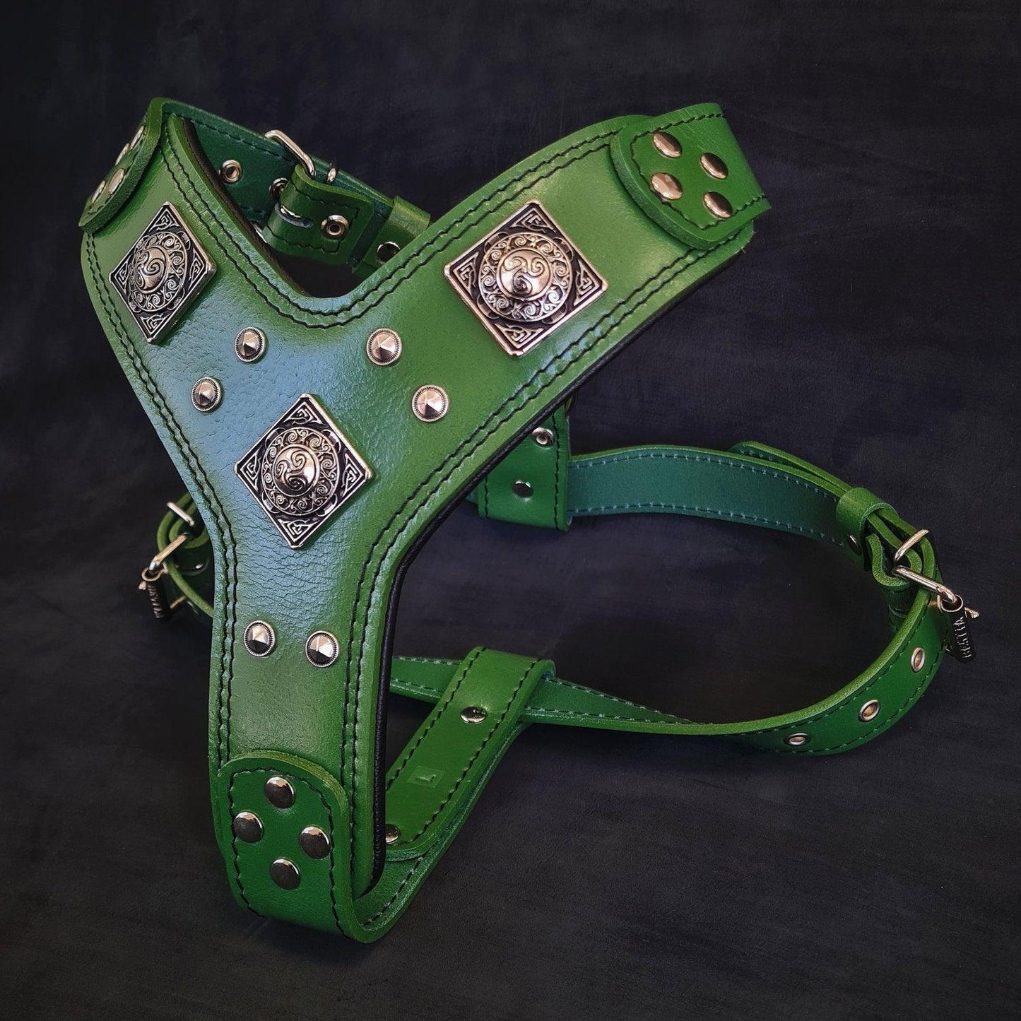 Laisse "Viking" — Cuir Robuste pour Grande & Petite Race