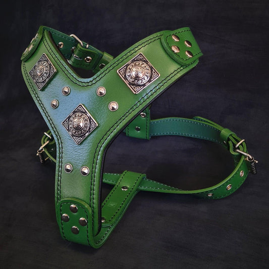 Laisse "Viking" — Cuir Robuste pour Grande & Petite Race