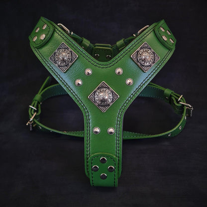 Laisse "Viking" — Cuir Robuste pour Grande & Petite Race
