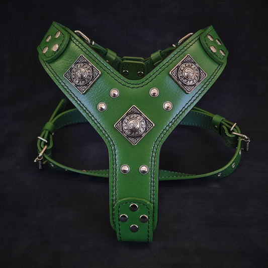 Laisse "Viking" — Cuir Robuste pour Grande & Petite Race