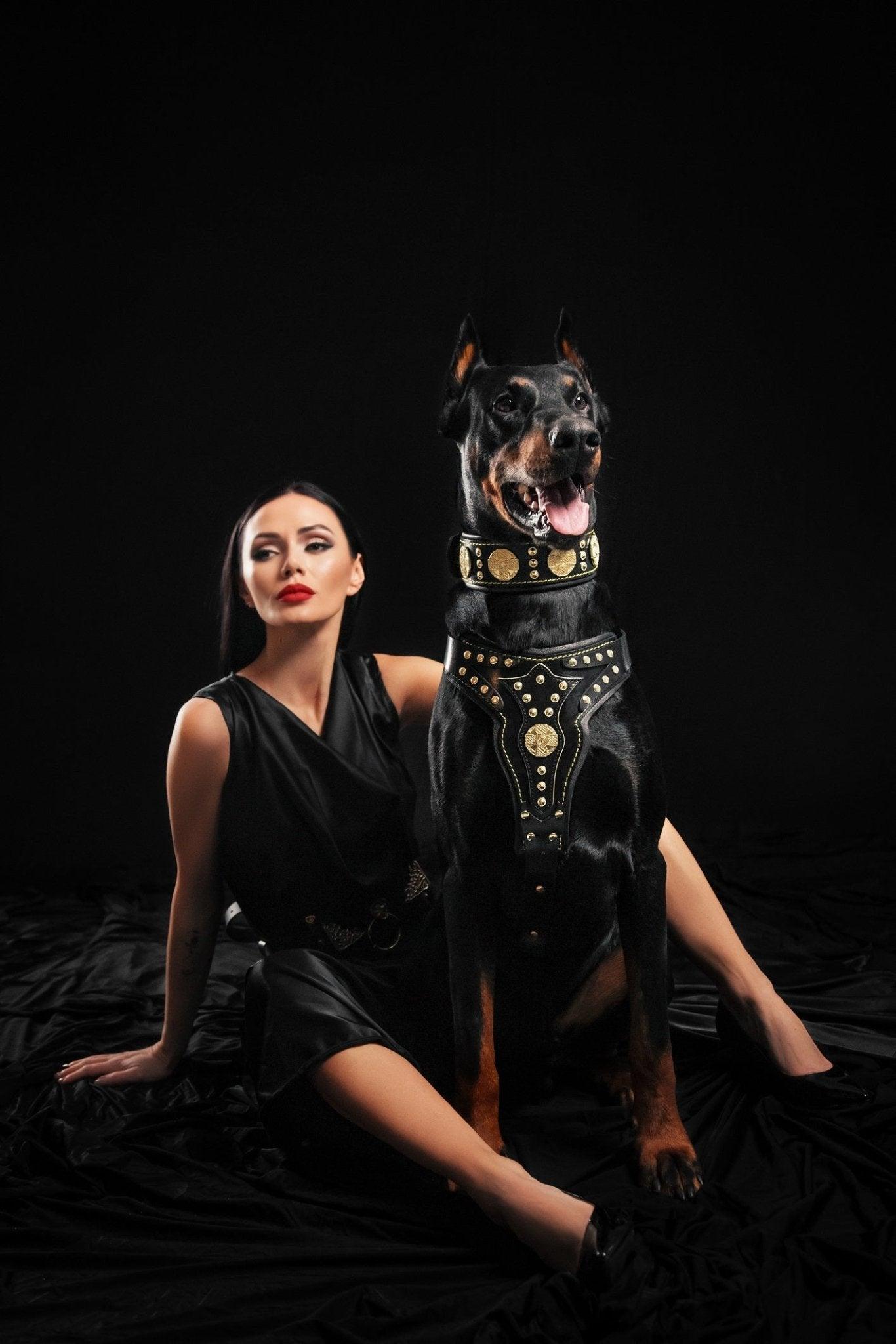 Harnais "Maximus" V2 — Cuir Premium Toutes Races