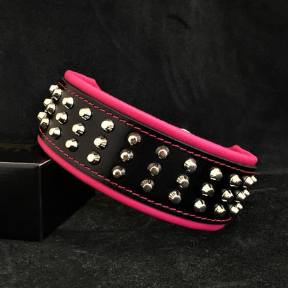 Collier "Stud" — Cuir Clouté pour Grande Race & Chien Puissant